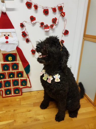 2024-12-02-BILD-Fanny-Dez-380