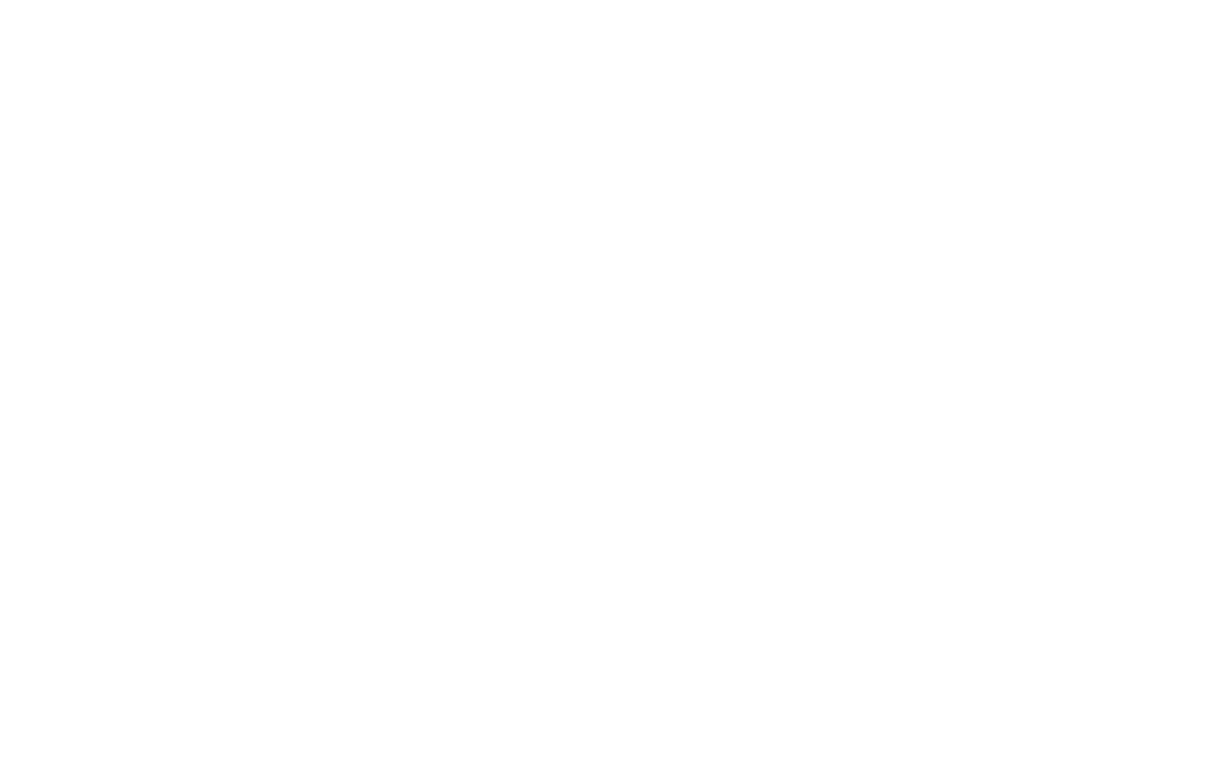 Logo_Hl-E-St_weiss