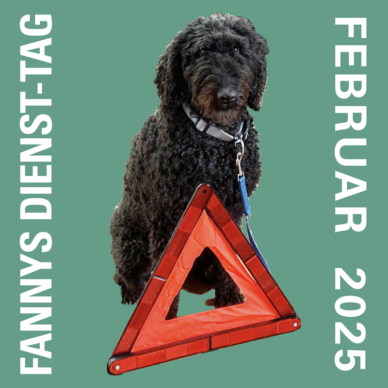 2025-02-FANNY-Banner-800