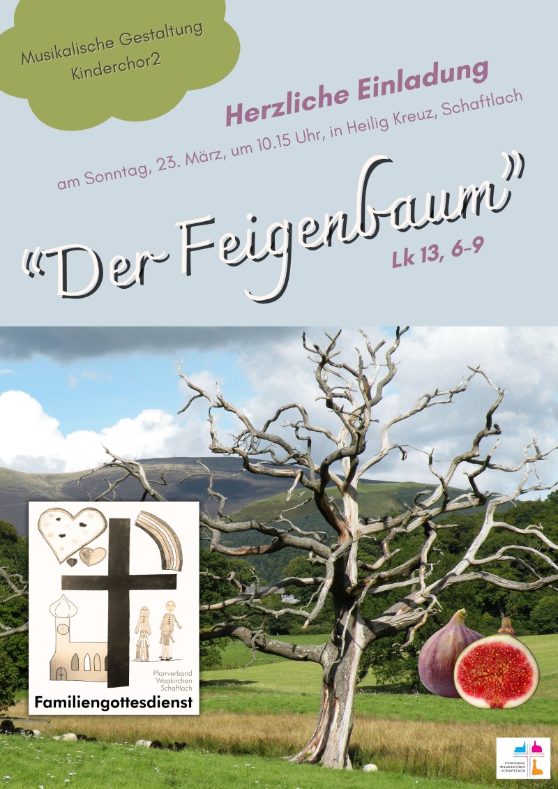 2025-03_FamGo-Feigenbaum