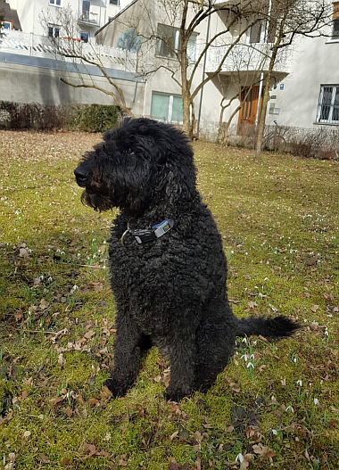 2025-03-03-BILD-Fanny-Maerz_380