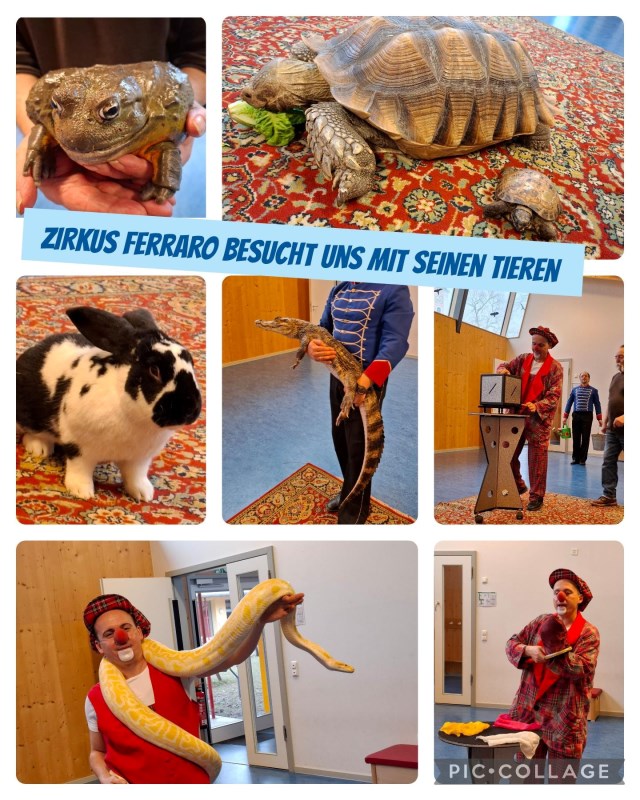 Der Zirkus Ferraro besucht uns im Kinderhaus.