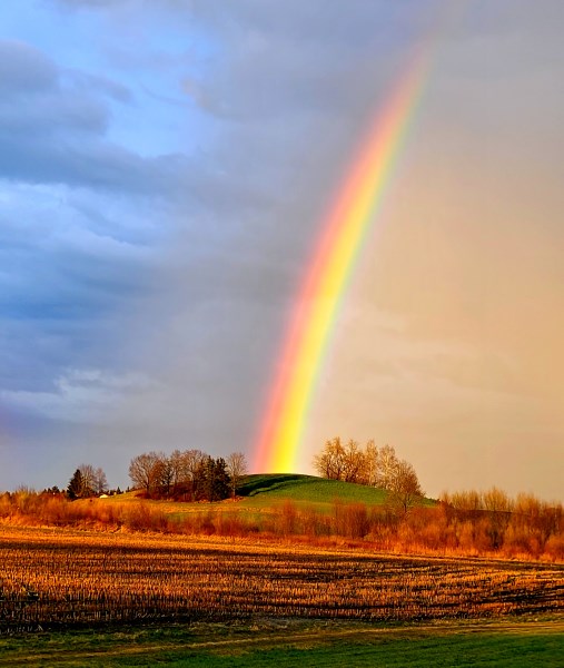 Regenbogen bei Weikertsham