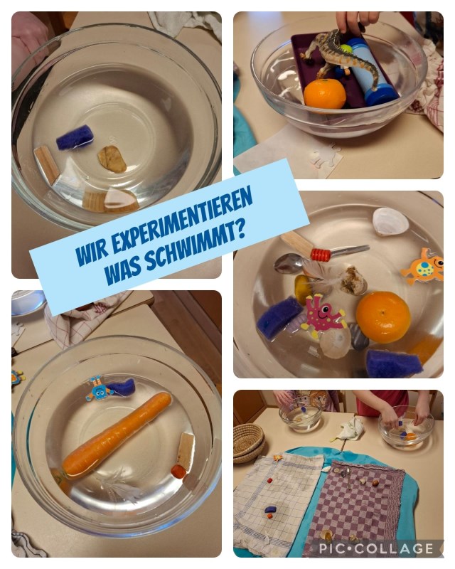 Die Kinder finden heraus, was alles schwimmen kann.