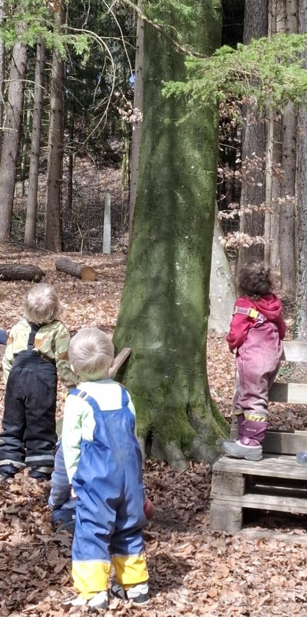 Die Kinder beobachten einen Schwarzspecht.