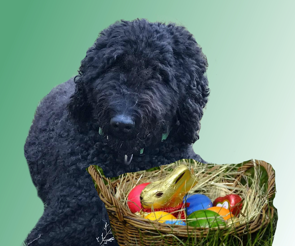 2025-04-01-Fanny_April_2025-gruen