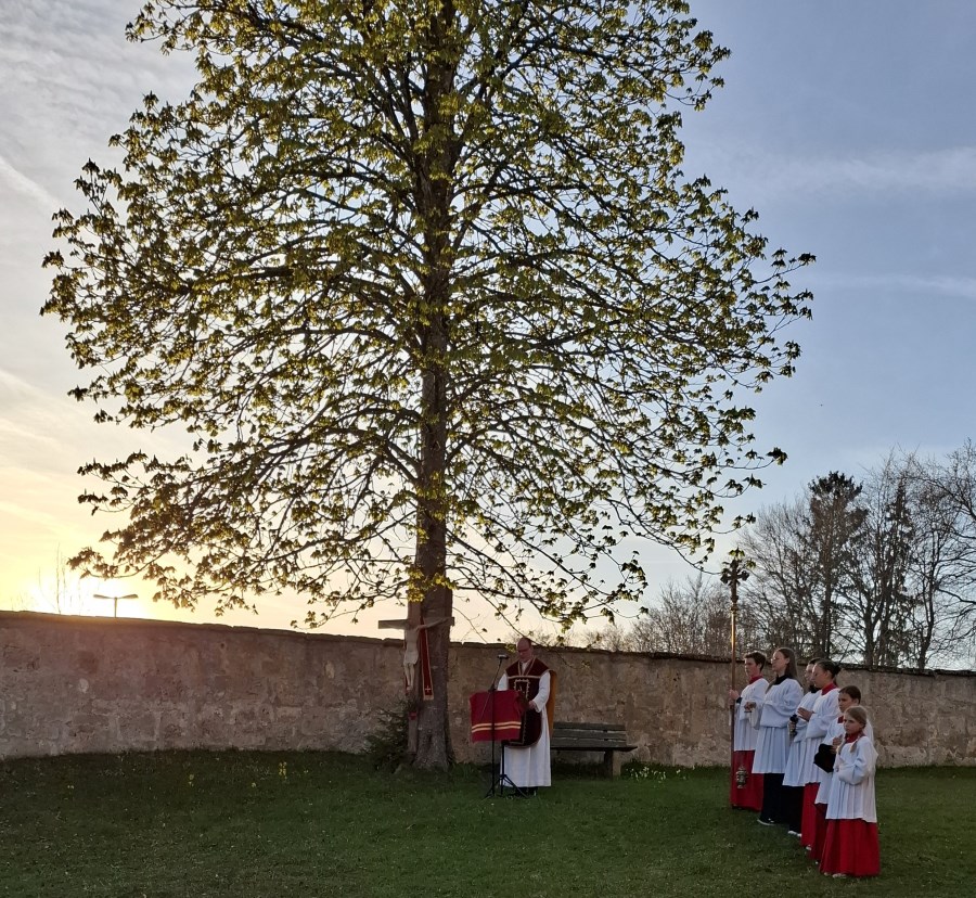 Palmsonntag 2025 in Burg