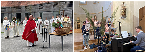 2025-04-13-BILD-PalmSo_500