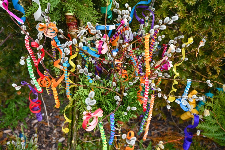 Palmweihe-Weissbach-bunten Palmbuschen