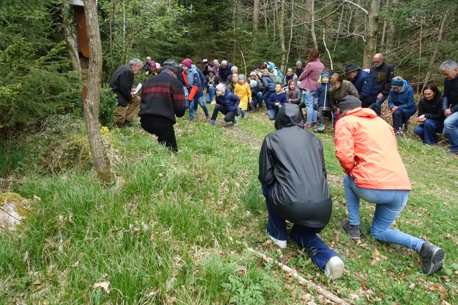 2025_04_18 Kreuzweg Feldkirchen