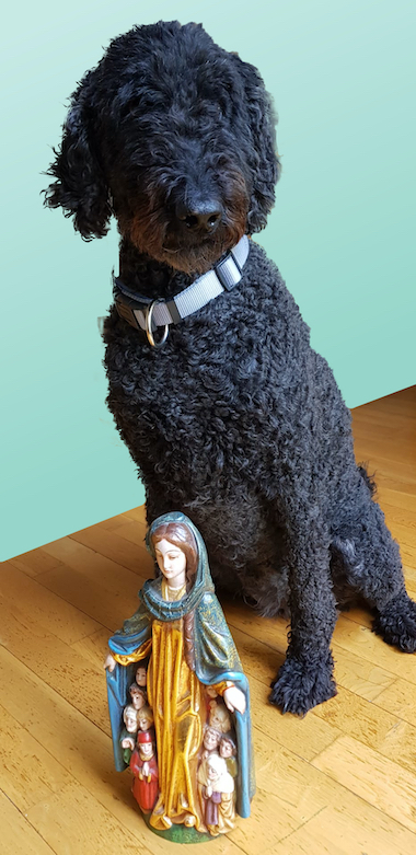 2025-05-04-Bild-Fanny-Mai-380