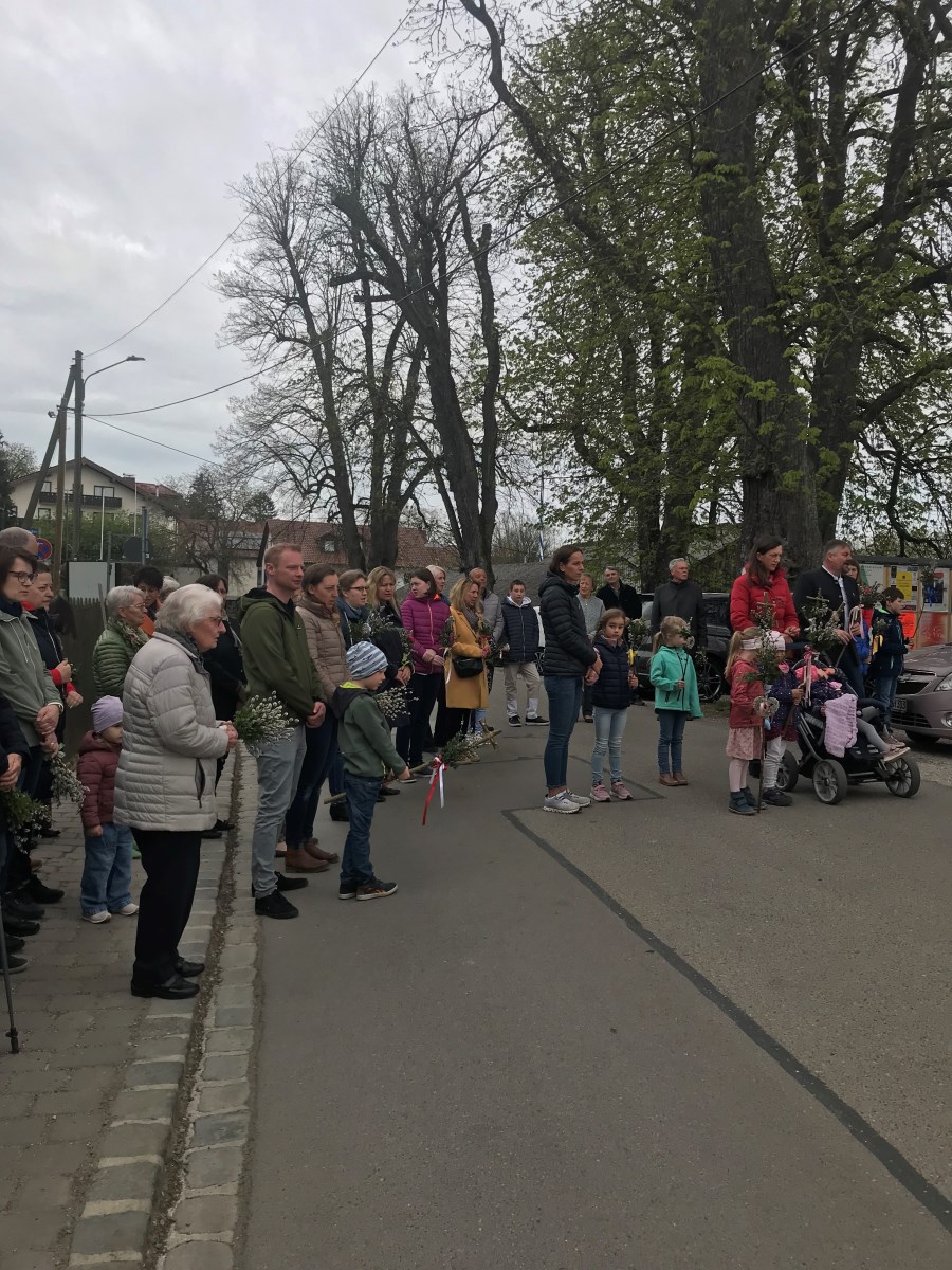 Ma_Palmweihe_13042025