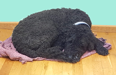 2025-06-03-BILD-Fanny-fg_380