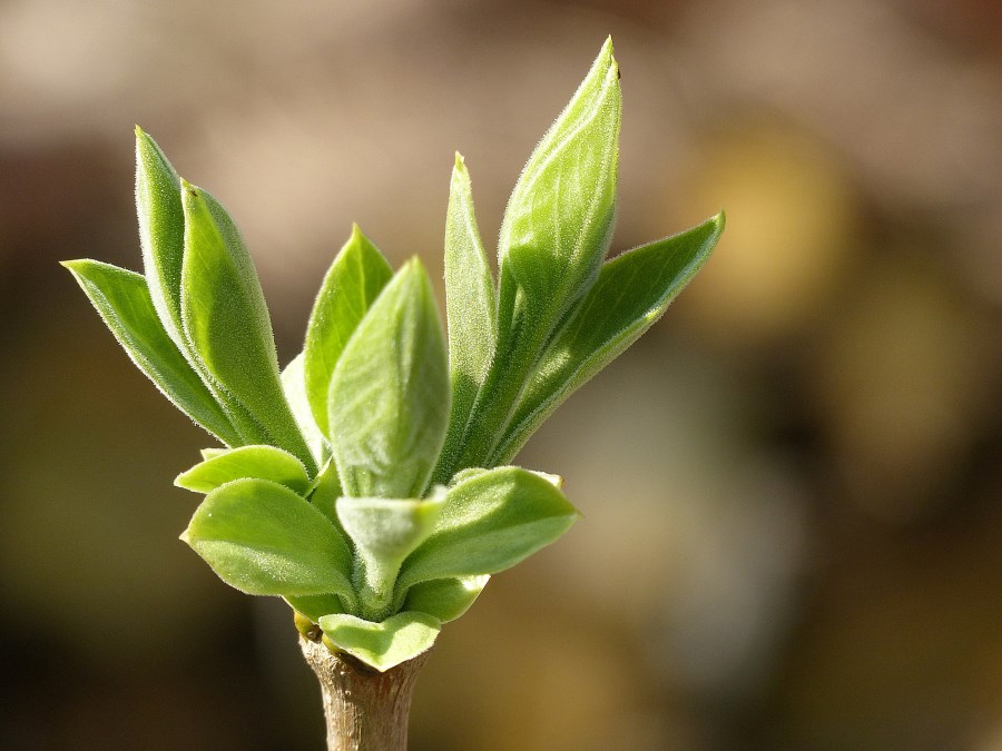 Prävention sexualisierter Gewalt