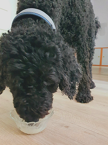 2025-07-01-Bild-Fanny-Juli_380