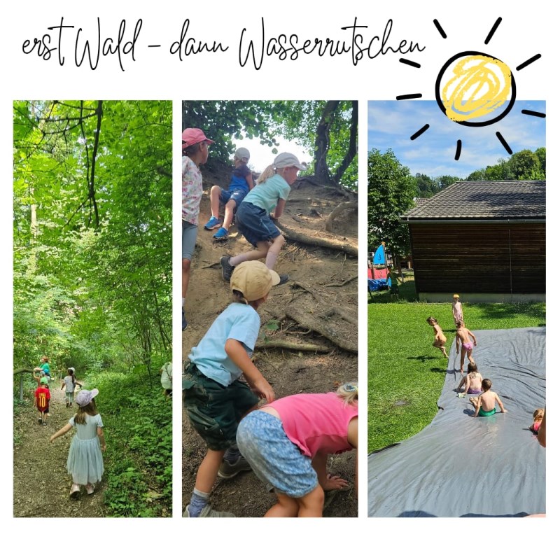 Die Igel kühlen sich nach einem Waldtag im Wasser ab