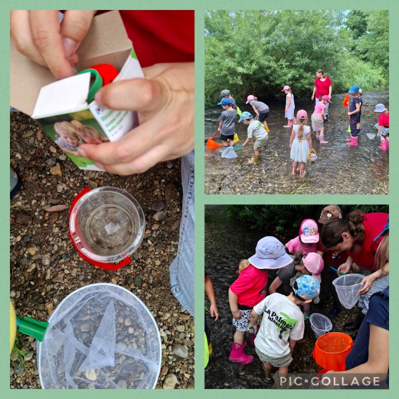 Die Waldfüchse keschern in der Strogen
