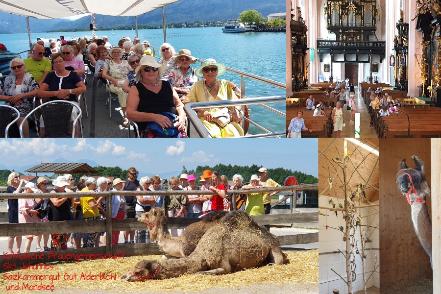 Sommerreise ins Salzkammergut