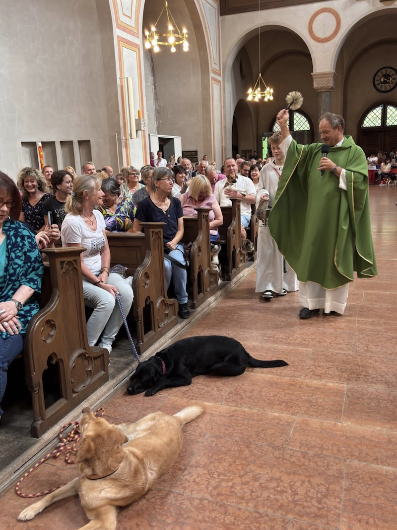 2025-08-Viecherlmesse-Schiessler-Antoniuskirche