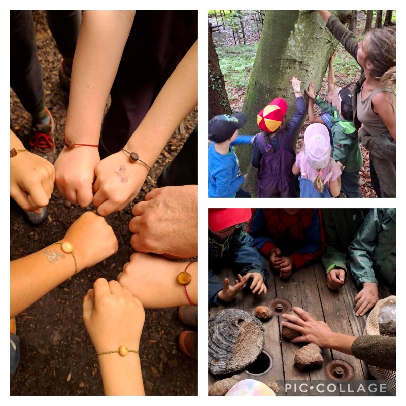 Die Spatzen suchen Baumperlen.