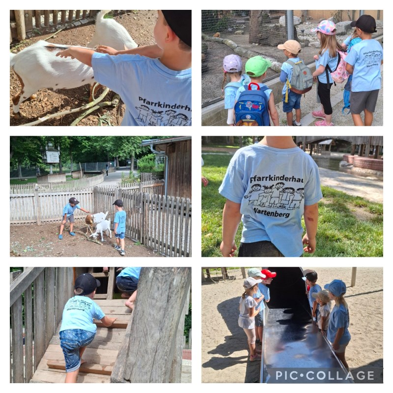Die Igelgruppe macht einen Ausflug in den Stadtpark