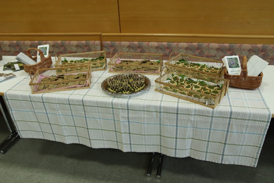 Vortrag Wildkräuter