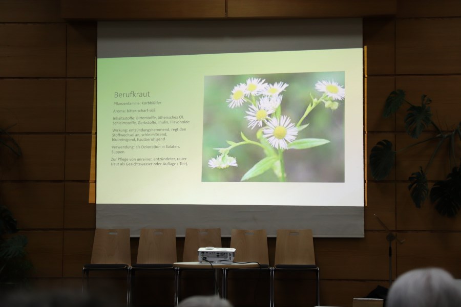 Vortrag Wildkräuter