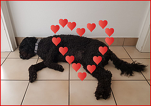 2025-09-02-BILD2-Fanny-Sept-500