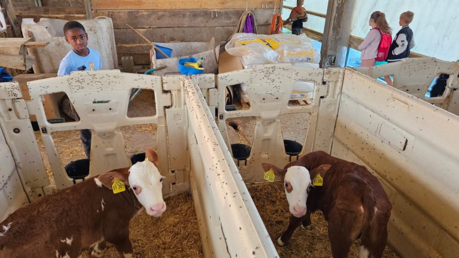 Ferienprogramm Trostberg 2025