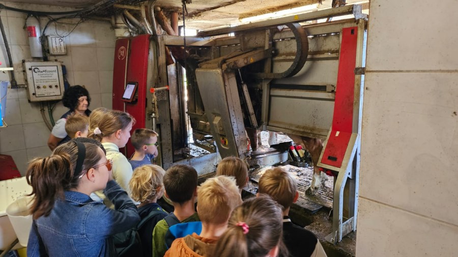 Ferienprogramm Trostberg 2025