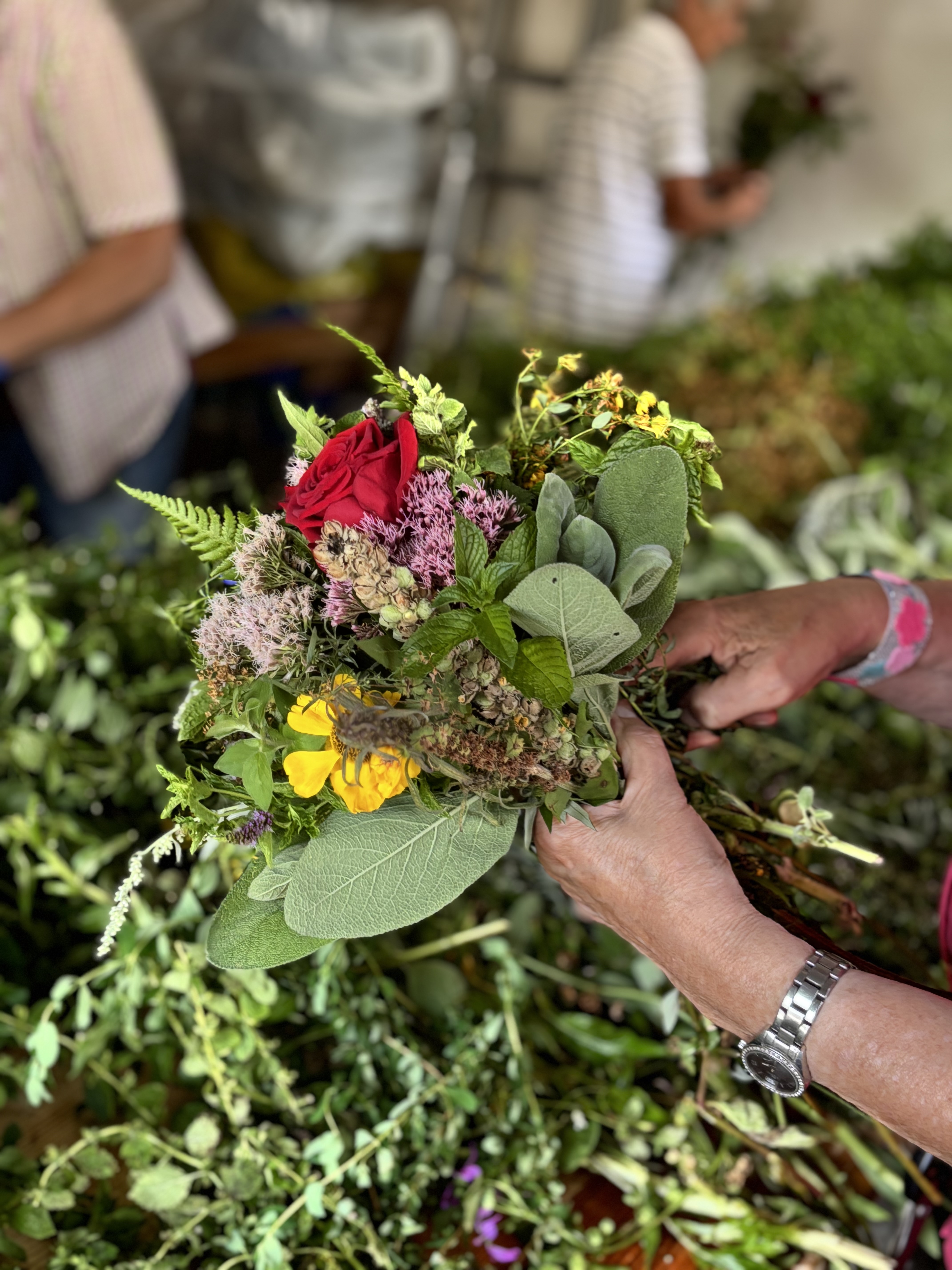 Kräuterbuschen 2025