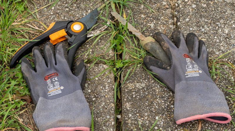 Gartenarbeit