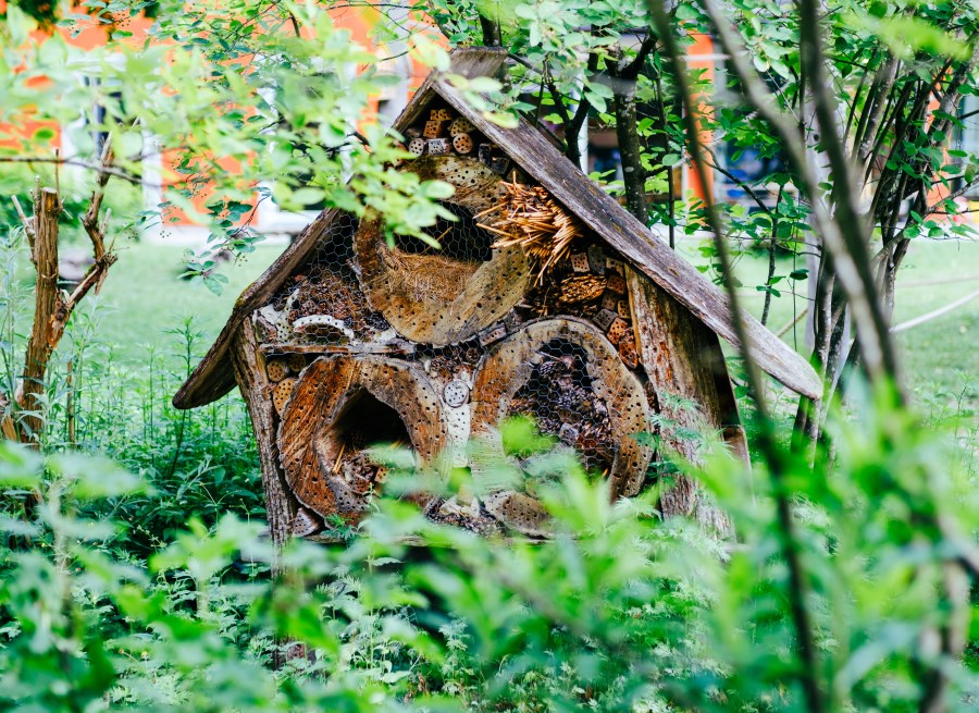 Garten St. Hildegard