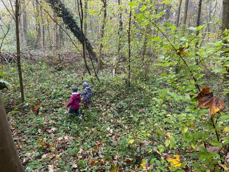 Kinder laufen durch Gebüsch