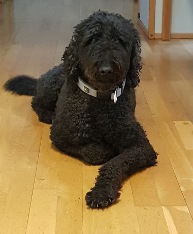 2025-11-04-Bild-Fanny-Nov_380