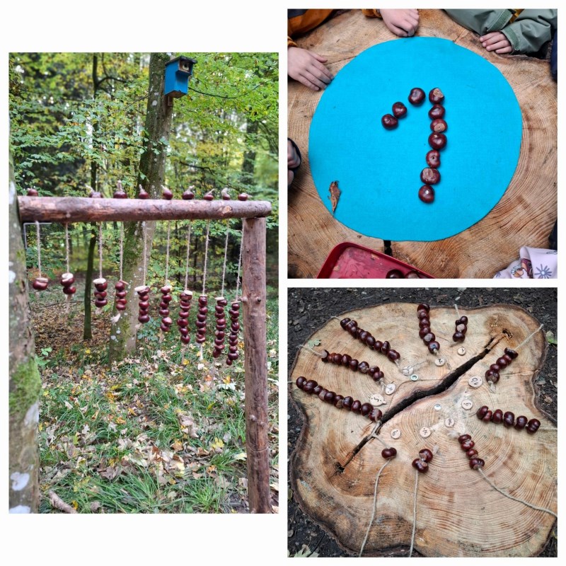 Die Waldfüchse gehen nur das Zahlenland