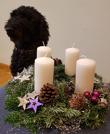 2025-12-02-BILD-Fanny-Dez_380