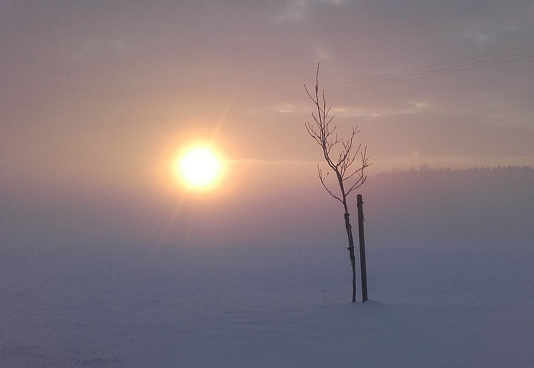 Adventskalender<br/>Kohelet