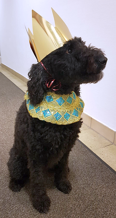 2026-01-05-Fanny-BILD2_380