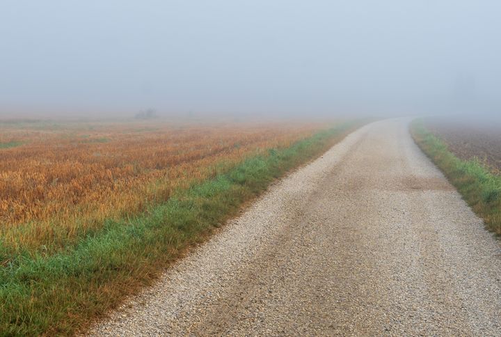 Weg im Nebel