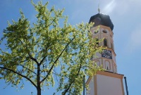 St. Stephanus Hohenbrunn