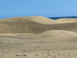Sanddünen von Maspalomas, Gran Canaria