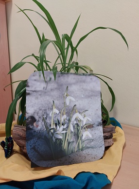 Bild mit Schneeglöckchen auf bunten Tüchern