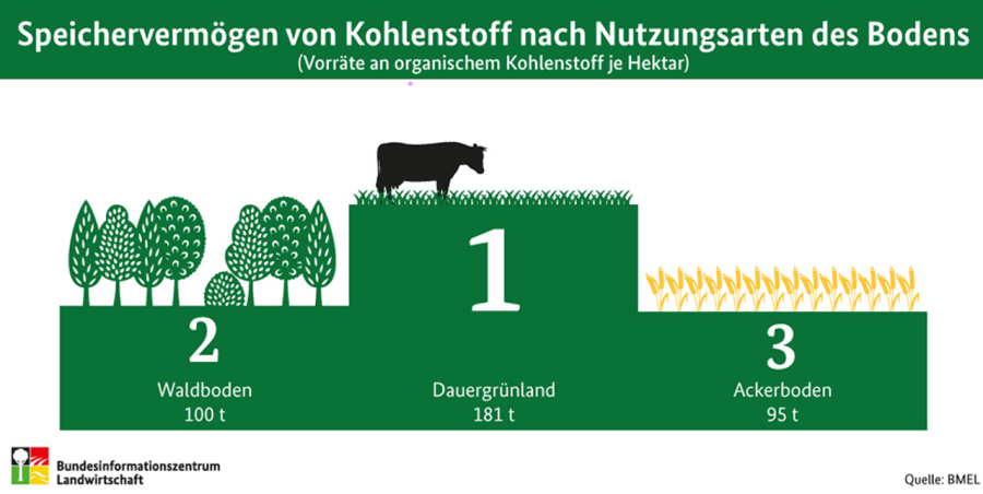 Folie aus dem Vortrag von Peter Dufter