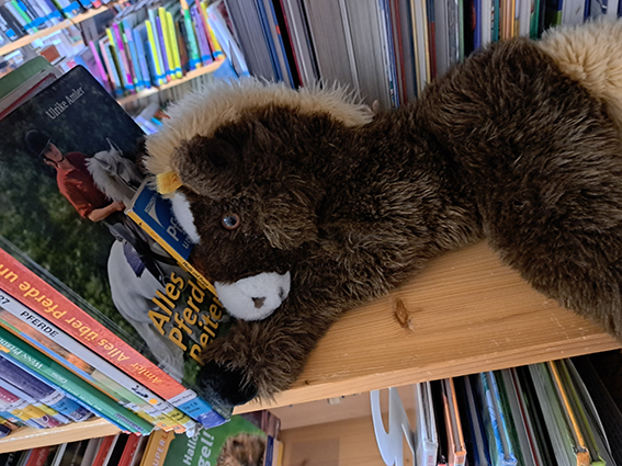 Impressionen Kuscheltierübernachtung