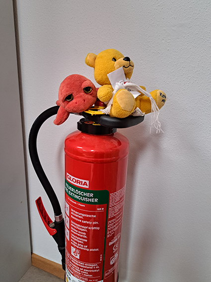 Impressionen Kuscheltierübernachtung