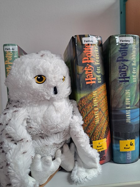 Impressionen Kuscheltierübernachtung