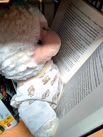 Impress. Kuscheltierübernachtung