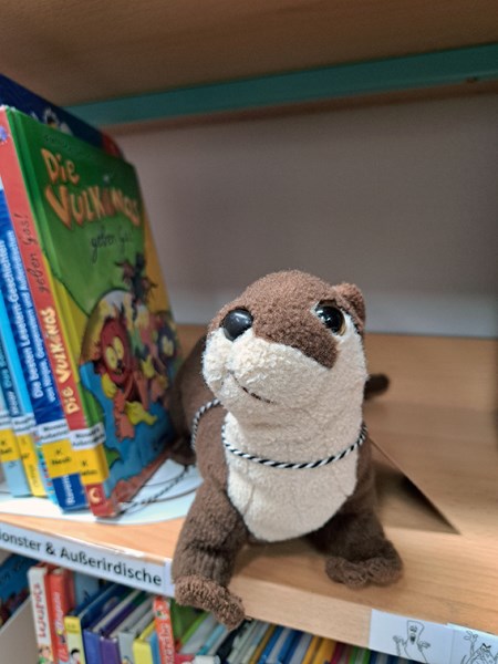 Impress. Kuscheltierübernachtung