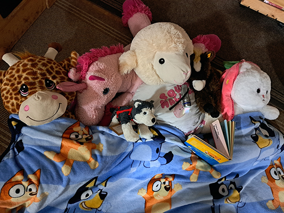 Impress. Kuscheltierübernachtung